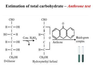carbohydrate estimation by anthrone method|Analysis of the chemical composition of natural carbohydrates – .